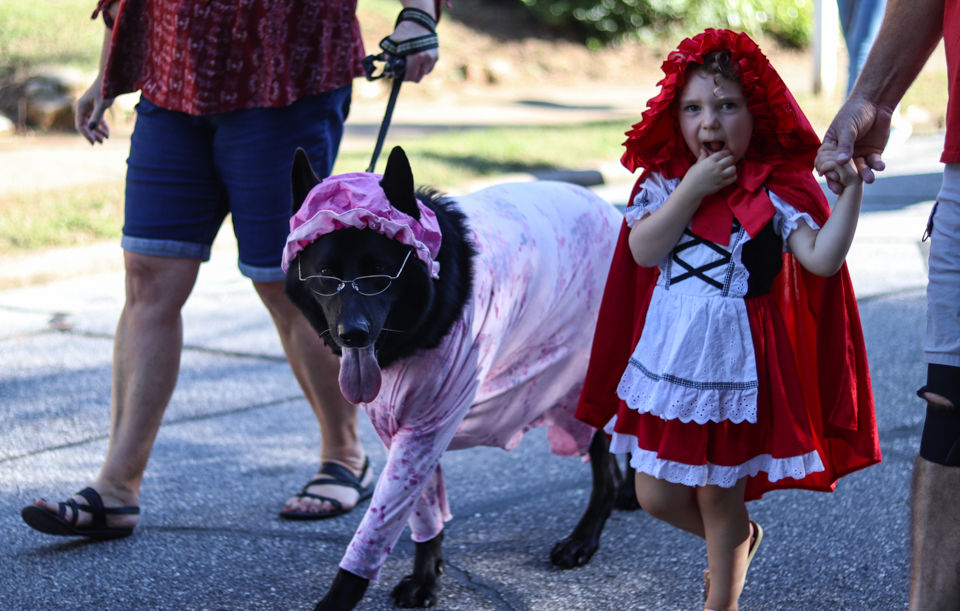 181014_boolebark_0012.jpg